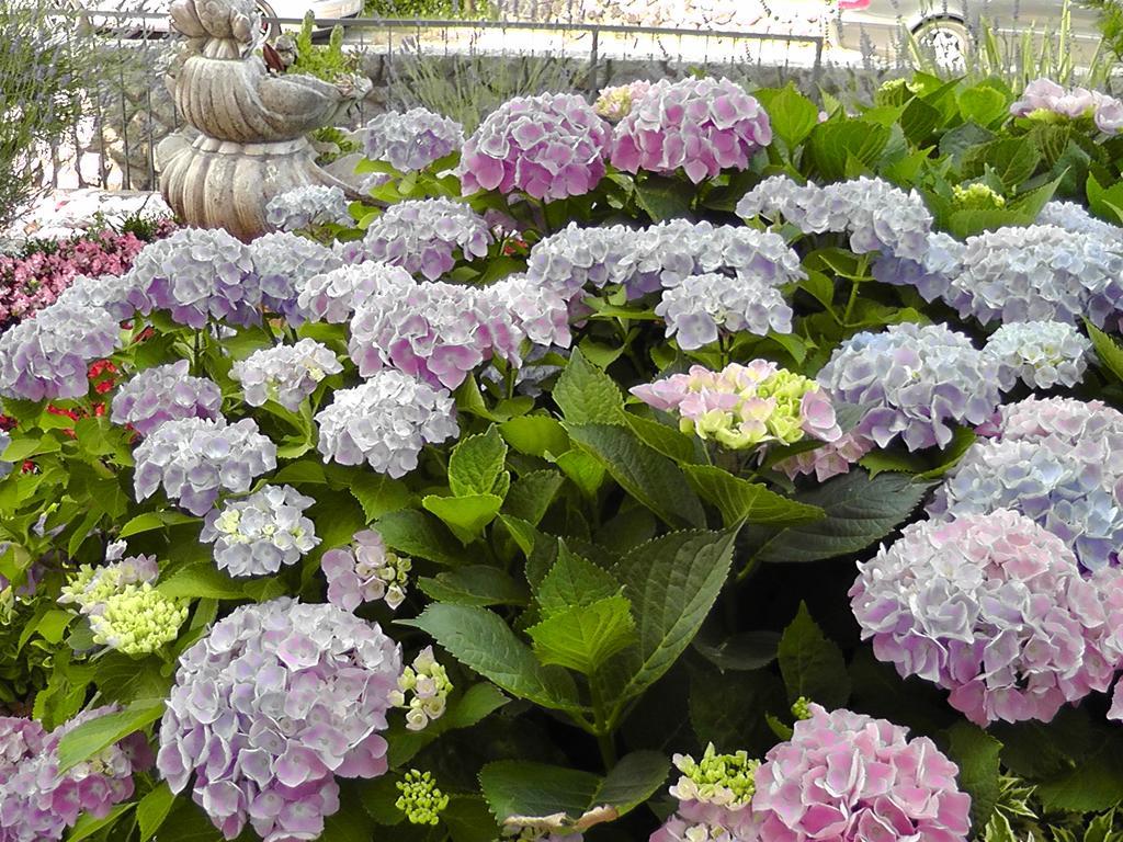 Lavanda 3 Njivice Εξωτερικό φωτογραφία